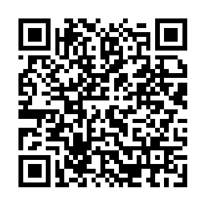 Link to your fundraiser QRCode - Fundraising