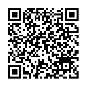 Link to your fundraiser QRCode - Fundraising