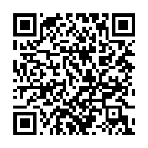 Link to your fundraiser QRCode - Fundraising