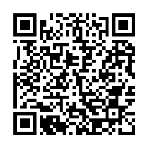 Link to your fundraiser QRCode - Fundraising