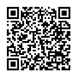 Link to your fundraiser QRCode - Fundraising