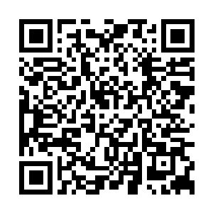 Link to your fundraiser QRCode - Fundraising