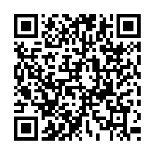Link to your fundraiser QRCode - Fundraising
