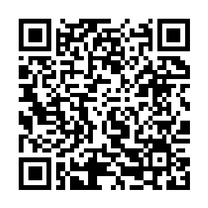 Link to your fundraiser QRCode - Fundraising