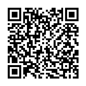 Link to your fundraiser QRCode - Fundraising
