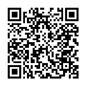 Link to your fundraiser QRCode - Fundraising
