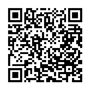 Link to your fundraiser QRCode - Fundraising
