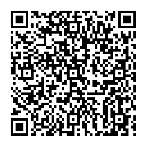 Link to your fundraiser QRCode - Fundraising