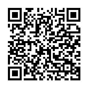 Link to your fundraiser QRCode - Fundraising