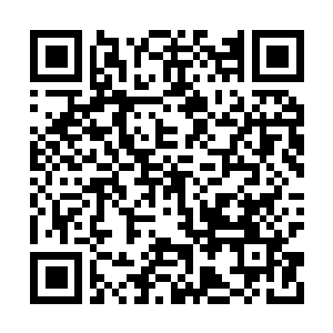 Link to your fundraiser QRCode - Fundraising