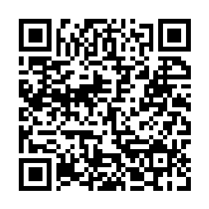 Link to your fundraiser QRCode - Fundraising