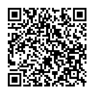 Link to your fundraiser QRCode - Fundraising