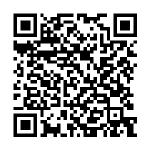 Link to your fundraiser QRCode - Fundraising