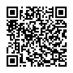Link to your fundraiser QRCode - Fundraising