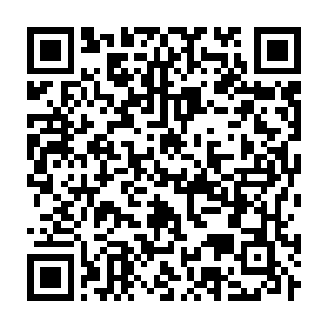 Link to your fundraiser QRCode - Fundraising