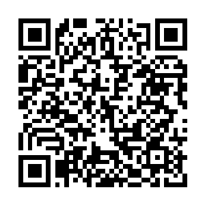 Link to your fundraiser QRCode - Fundraising