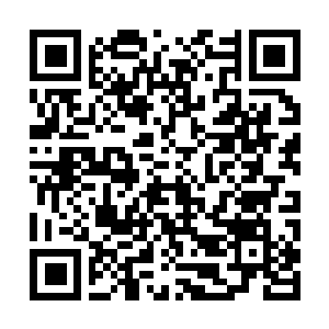 Link to your fundraiser QRCode - Fundraising