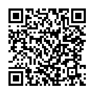 Link to your fundraiser QRCode - Fundraising