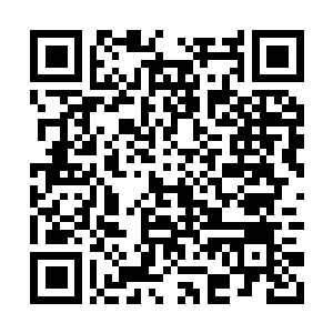 Link to your fundraiser QRCode - Fundraising