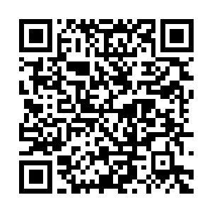 Link to your fundraiser QRCode - Fundraising