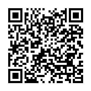 Link to your fundraiser QRCode - Fundraising