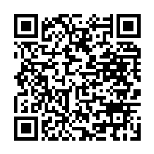 Link to your fundraiser QRCode - Fundraising