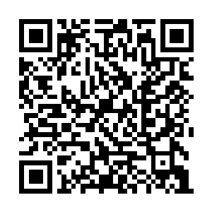 Link to your fundraiser QRCode - Fundraising