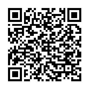 Link to your fundraiser QRCode - Fundraising