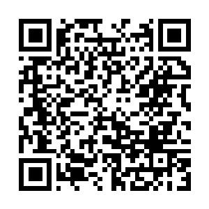 Link to your fundraiser QRCode - Fundraising