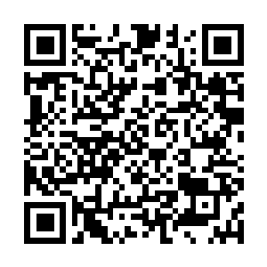 Link to your fundraiser QRCode - Fundraising