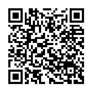 Link to your fundraiser QRCode - Fundraising