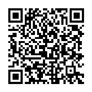 Link to your fundraiser QRCode - Fundraising