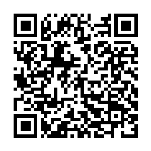 Link to your fundraiser QRCode - Fundraising