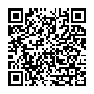 Link to your fundraiser QRCode - Fundraising