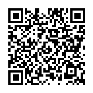 Link to your fundraiser QRCode - Fundraising