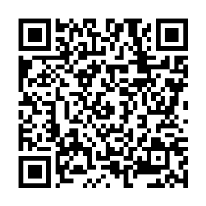 Link to your fundraiser QRCode - Fundraising