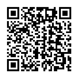 Link to your fundraiser QRCode - Fundraising