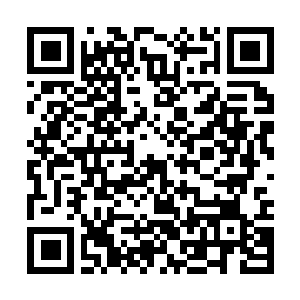 Link to your fundraiser QRCode - Fundraising