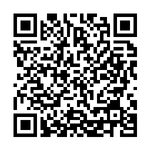 Link to your fundraiser QRCode - Fundraising