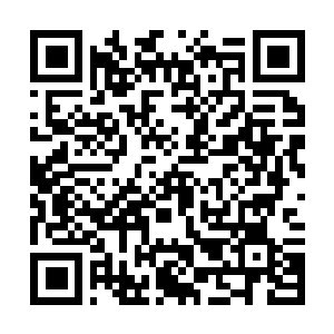 Link to your fundraiser QRCode - Fundraising