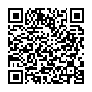 Link to your fundraiser QRCode - Fundraising
