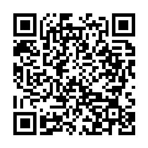 Link to your fundraiser QRCode - Fundraising