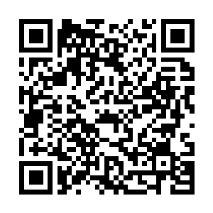 Link to your fundraiser QRCode - Fundraising