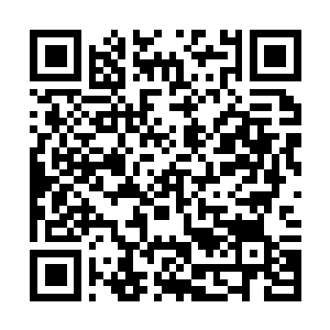 Link to your fundraiser QRCode - Fundraising