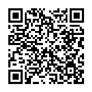 Link to your fundraiser QRCode - Fundraising