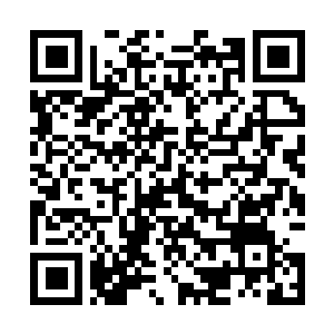 Link to your fundraiser QRCode - Fundraising