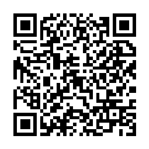Link to your fundraiser QRCode - Fundraising