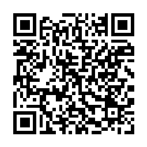 Link to your fundraiser QRCode - Fundraising