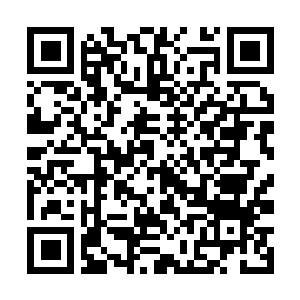 Link to your fundraiser QRCode - Fundraising