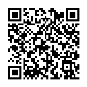 Link to your fundraiser QRCode - Fundraising